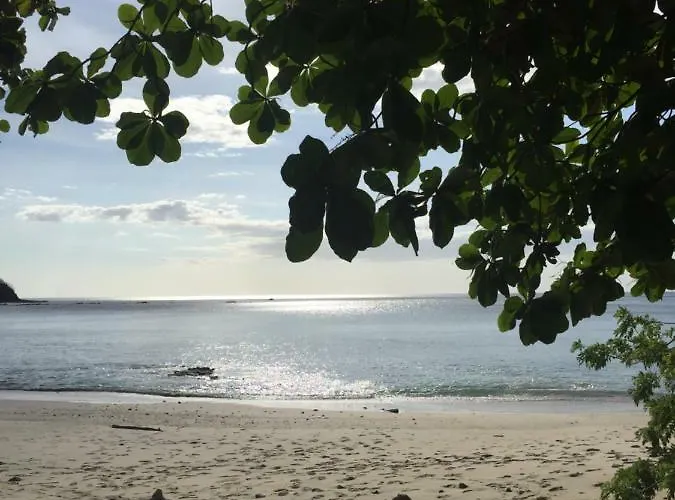 Pura Vista